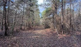 Beck Springs, Ashland, MS 38603