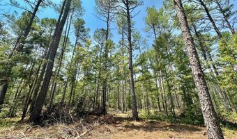 2 Champion Hill Rd, Bolton, MS 39041