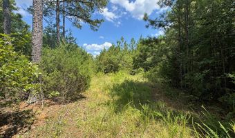 1324 Highway 81 N, Calhoun Falls, SC 29628
