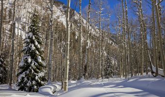 640 S Hayden Rd, Aspen, CO 81611