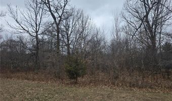 L8 B1 288th Avenue, Baldwin Twp., MN 55398