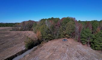 53 86 Acres-TBD Pate Rd, Bishopville, SC 29010
