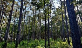 Parcel 3 WARD LINE Road lot Par 3, Bogalusa, LA 70427