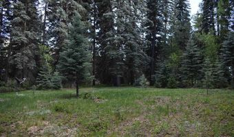 Vallecito Pl, Bayfield, CO 81122