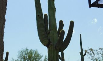 2030 N DON PERALTA Rd, Apache Junction, AZ 85119