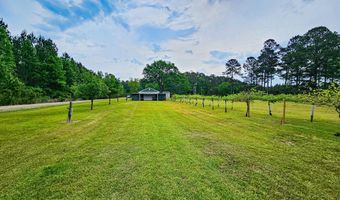 2986 Old Buckhead Rd, Branchville, SC 29432