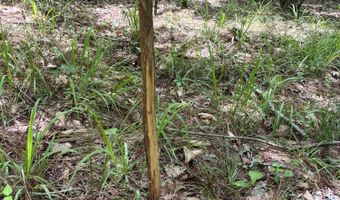 60150 N Harmony Rd, Amory, MS 38821