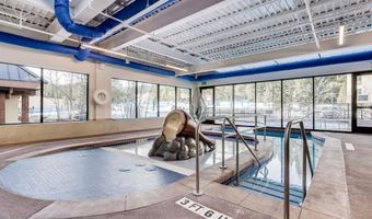535 S Park Ave 317, Breckenridge, CO 80424