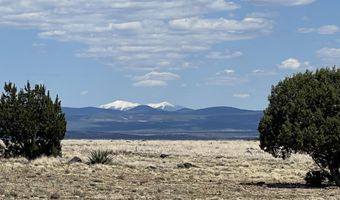 70 Off Of Volcano, Ash Fork, AZ 86320