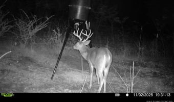 Mayes, Adair, OK 74330