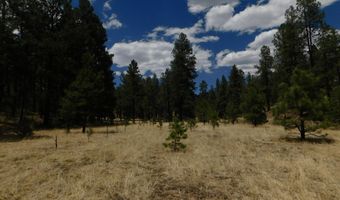 10 N2310, Alpine, AZ 85920