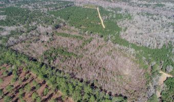 5510 Mauss Hill Rd, Adams Run, SC 29426