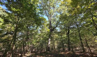 3013-3015 Possum Trot Rd, Ash Flat, AR 72513