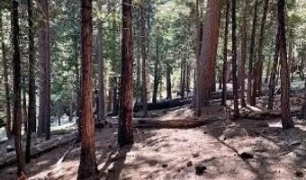 758 Yuroc Dr, Arnold, CA 95223
