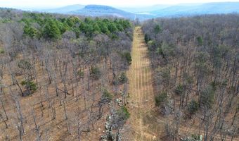 320 Acres CR 921, Alpena, AR 72611