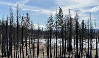 Hicks Rd, Bly, OR 97622