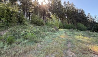 Jodel CT 3, Brookings, OR 97415