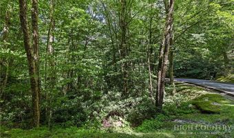 92 A Wren Way, Banner Elk, NC 28604