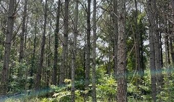 CR 1401, Booneville, MS 38829