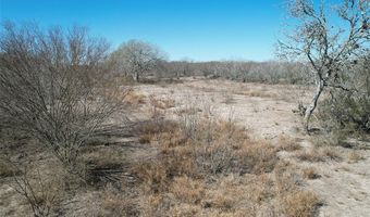 179 County Road 1461 Lot 9, Alice, TX 78332