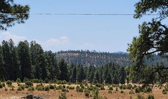 Tbd STONE CREEK RD CR 2117, Alpine, AZ 85920