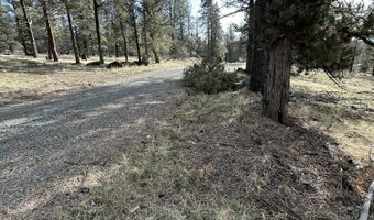 Widgeon Drive lot 3, Bonanza, OR 97623
