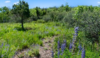 Trentaz Drive, Aspen, CO 81611