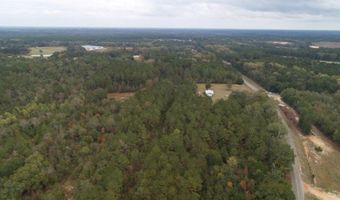 9 3 +/- Acres Airport Rd, Andalusia, AL 36421