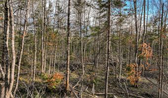 Lot 39 Sawyer Brook Road, Andover, ME 04216