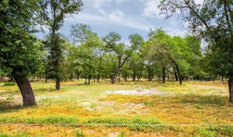 703 Falling Leaves Dr, Adkins, TX 78101