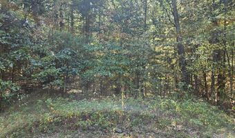 Lot 36 Wildwood Drive, Allegan, MI 49010