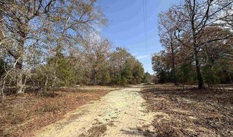 7262 N Brewington Rd, Alcolu, SC 29001