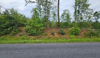 671 Penlan Rd Lot 2, Arvonia, VA 23004