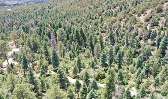 End of El Salto Road, Arroyo Seco, NM 87514