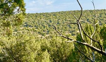 37 Co Rd N8174 10.1 Acres, Concho, AZ 85924