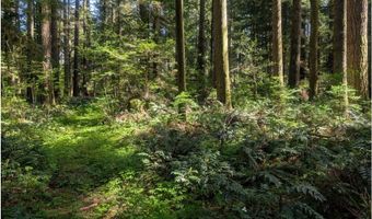 62955 E MOUNTAIN COUNTRY Ln, Brightwood, OR 97011