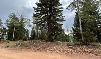 1272 N Aspen Rd, Brian Head, UT 84719