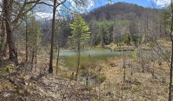 Steve Brown Rd, Bean Station, TN 37708