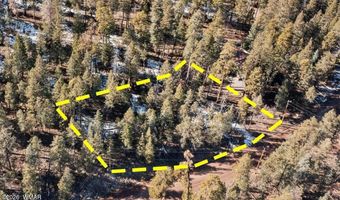 9 County Rd 2073, Alpine, AZ 85920