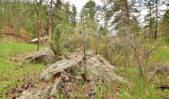 9017 Pine Ave, Beulah, CO 81023