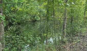 00 Coot Adams Rd, Ashford, AL 36312