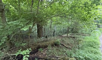 5 Lots Fortunato Dr, Baneberry, TN 37890
