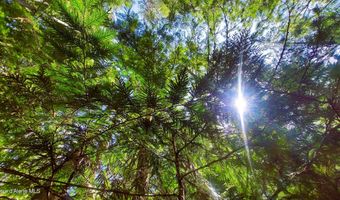 NKA Wandering Wolf Ridge Lot 3, Clark Fork, ID 83811