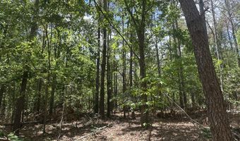 County Road 244 Tract A, Abbeville, MS 38601