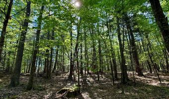 54 Cliff Rd, Accord, NY 12404