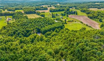 157 Buttercup Ln, Ararat, NC 27007