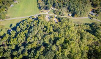 Davis Valley Road lot 8 & 11, Afton, TN 37616