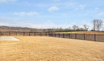 3305 Grassy Fields Ln, Apison, TN 37302