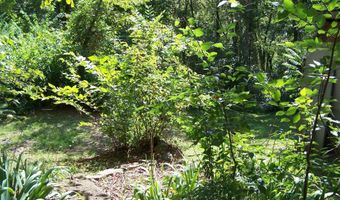 545 Ash Flat Dr, Ash Flat, AR 72542