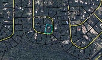 2653 MYRTLE Loop, Middleburg, FL 32068